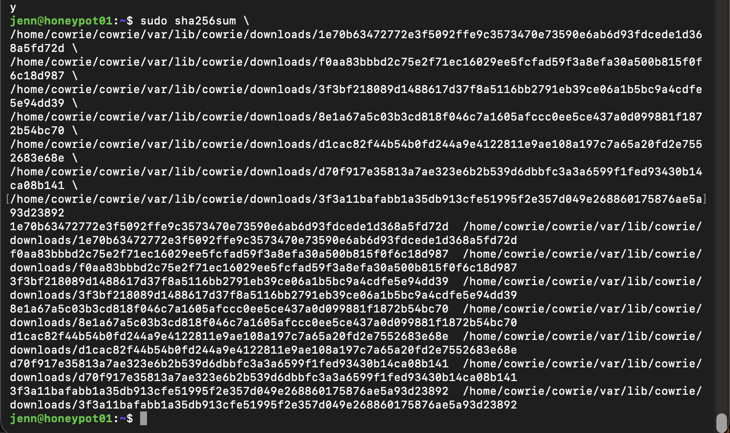 SHA-256 verification for the seven artifacts captured in one Cowrie session